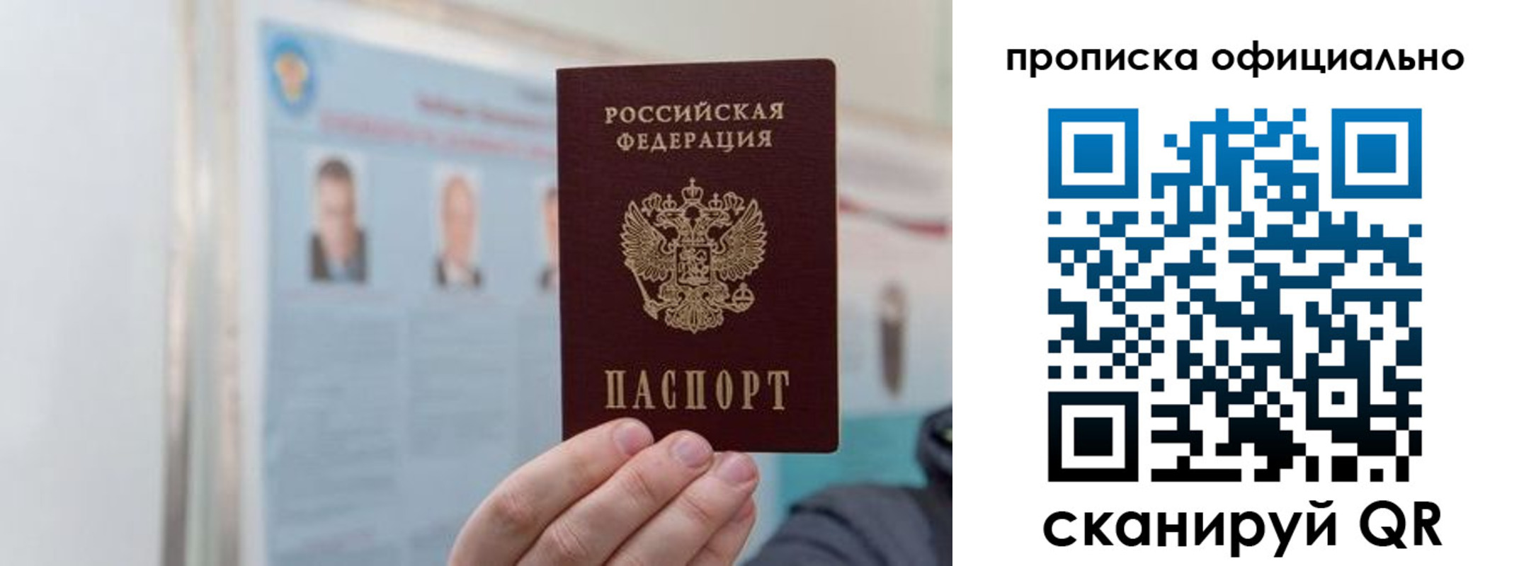прописка гарантия в Вязьме